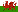 Liga Wales Fußball